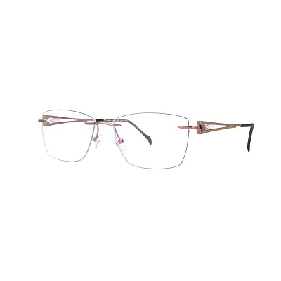 Оправа для очков STEPPER SI-99022 F019