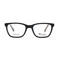 Оправа для очков Baniss BS9033 c02