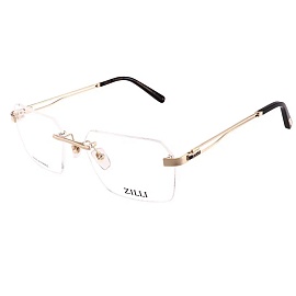 Оправа для очков ZILLI ZI-60090 c01