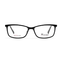 Оправа для очков Baniss BS7109 c01