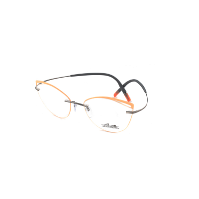 Оправа для очков Silhouette 5518 SG c7010