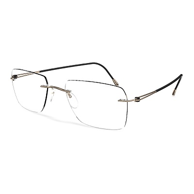 Оправа для очков Silhouette 5569 DN 7530 55/19