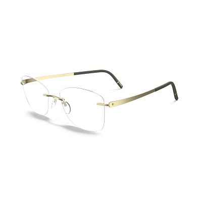 Оправа для очков Silhouette Sil Momentum 5529 AW 5640
