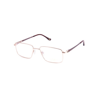 Оправа для очков Paul Vosheront VT 2039 c2