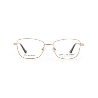 Оправа для очков St.Louise SL1093 C01