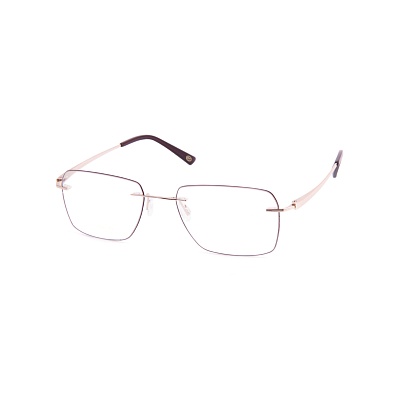 Оправа для очков Paul Vosheront VT 2047 c1